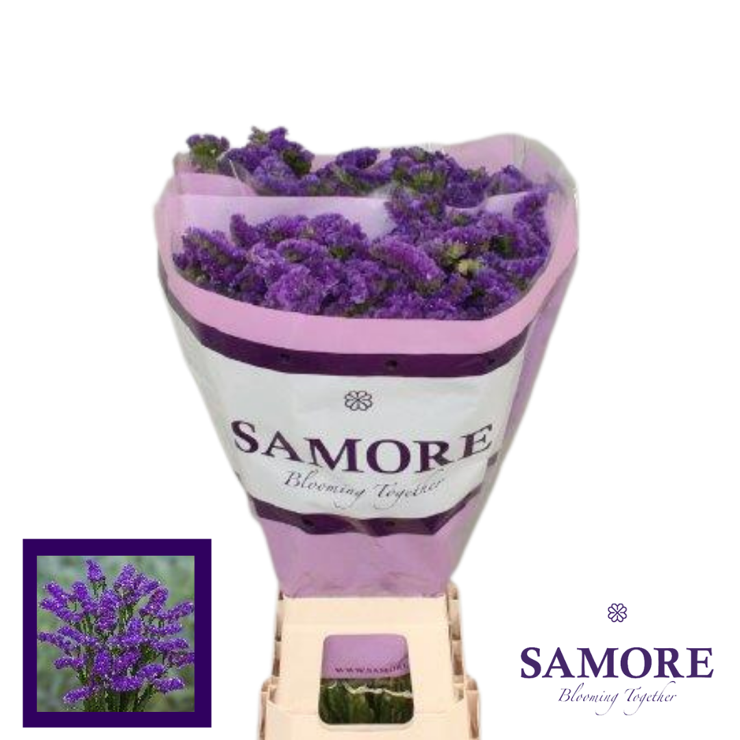 Samore