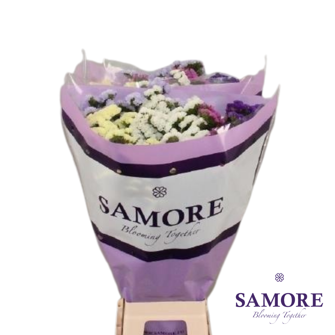 Samore