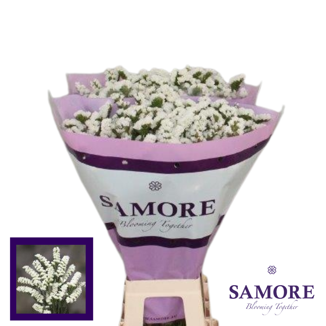 Samore