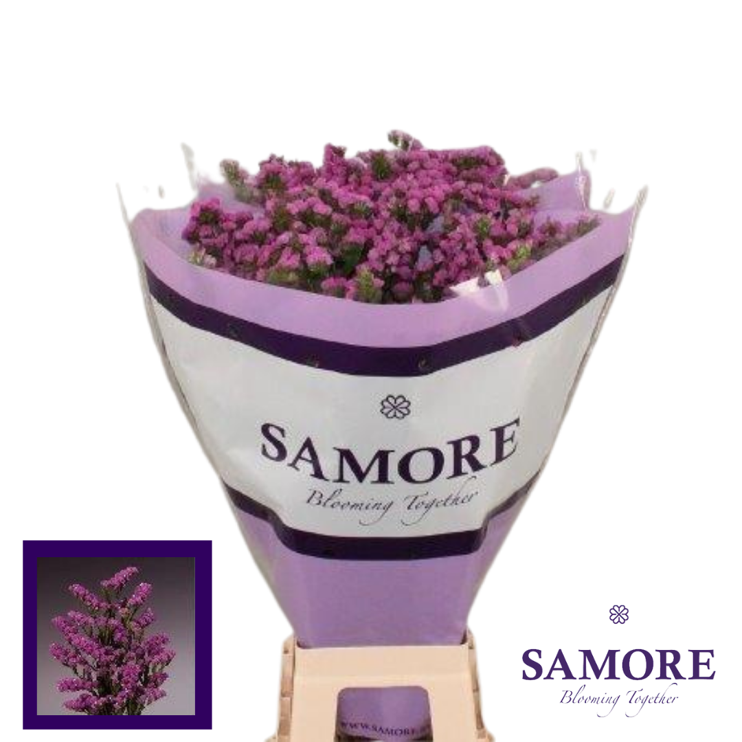 Samore